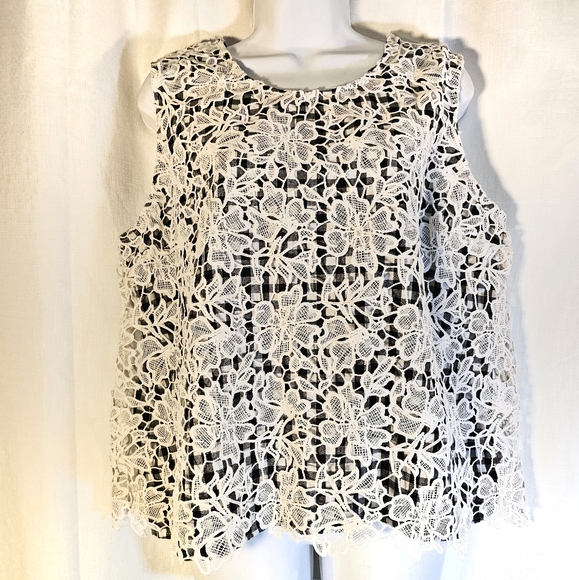 Cato Tops - 3/$20 Cato L Check Lace Top